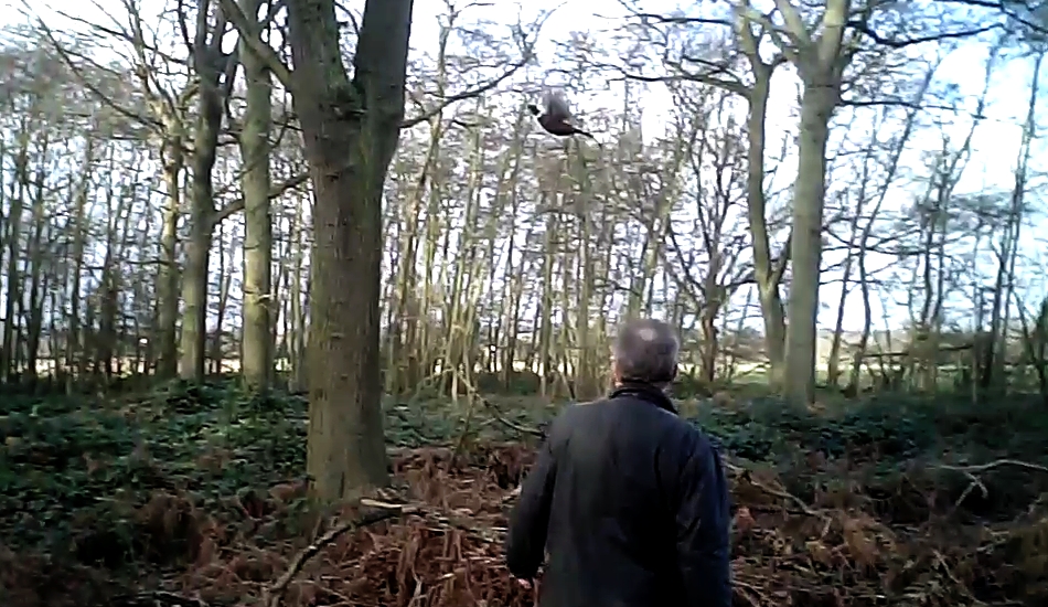 Howletts - 15th December 2012_1